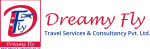 dreamyflynepal logo (1)